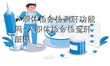 入職體檢會檢測肝功能嗎-入職體檢會檢查肝臟嗎