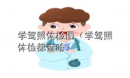 學(xué)駕照體檢圖（學(xué)駕照體檢都查啥）